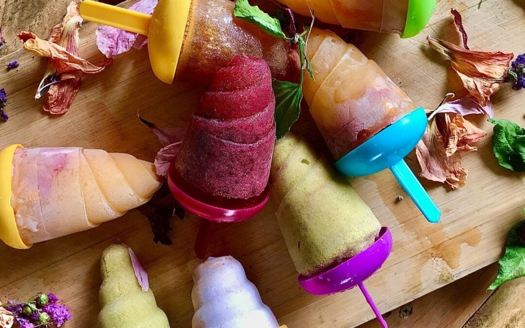 summer ice lolly recipes