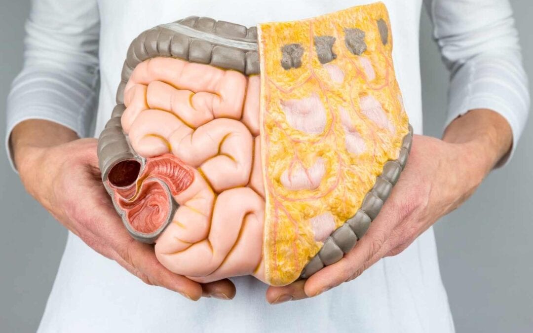 WARNING: 11 signs your gut health needs serious attention & how to heal it